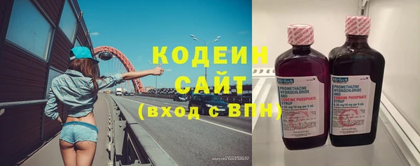 дурь Арсеньев